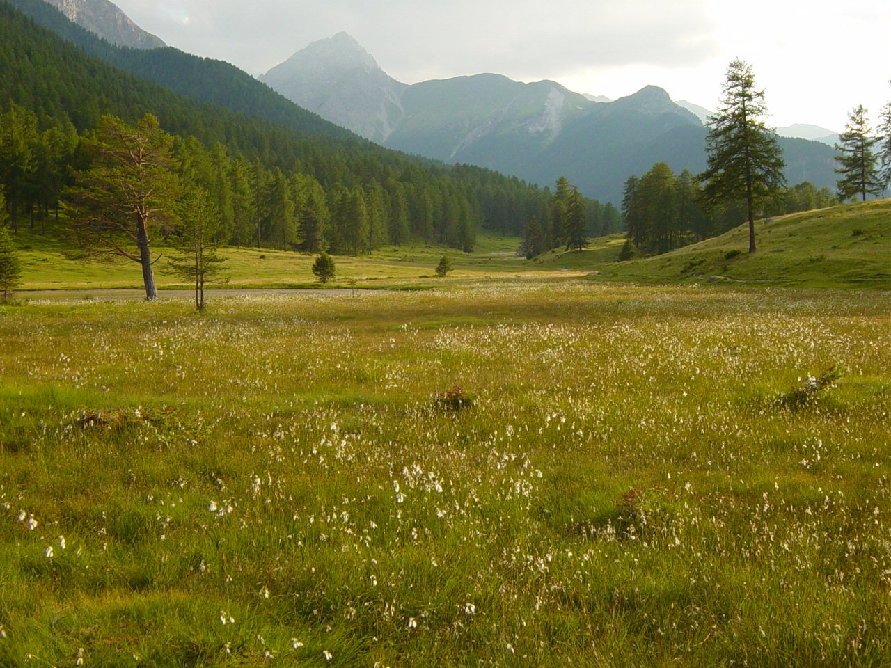Graubünden - Foto 1185