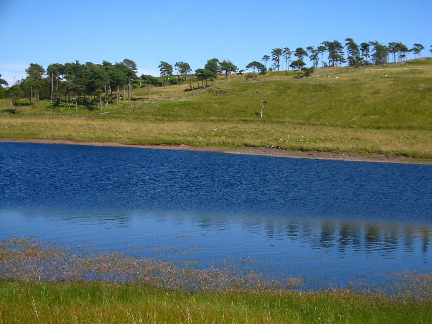 Nordmeer - Foto 1510