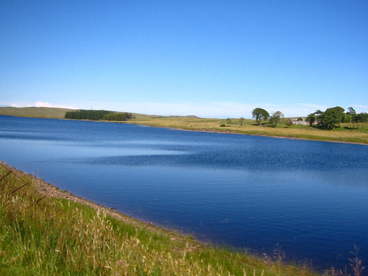 Nordmeer - Foto 1509