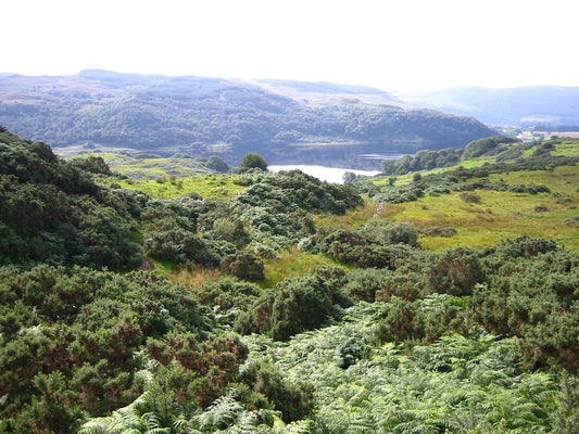 Nordmeer - Foto 1508